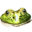 gamedevjeff@mastodon.gamedev.place