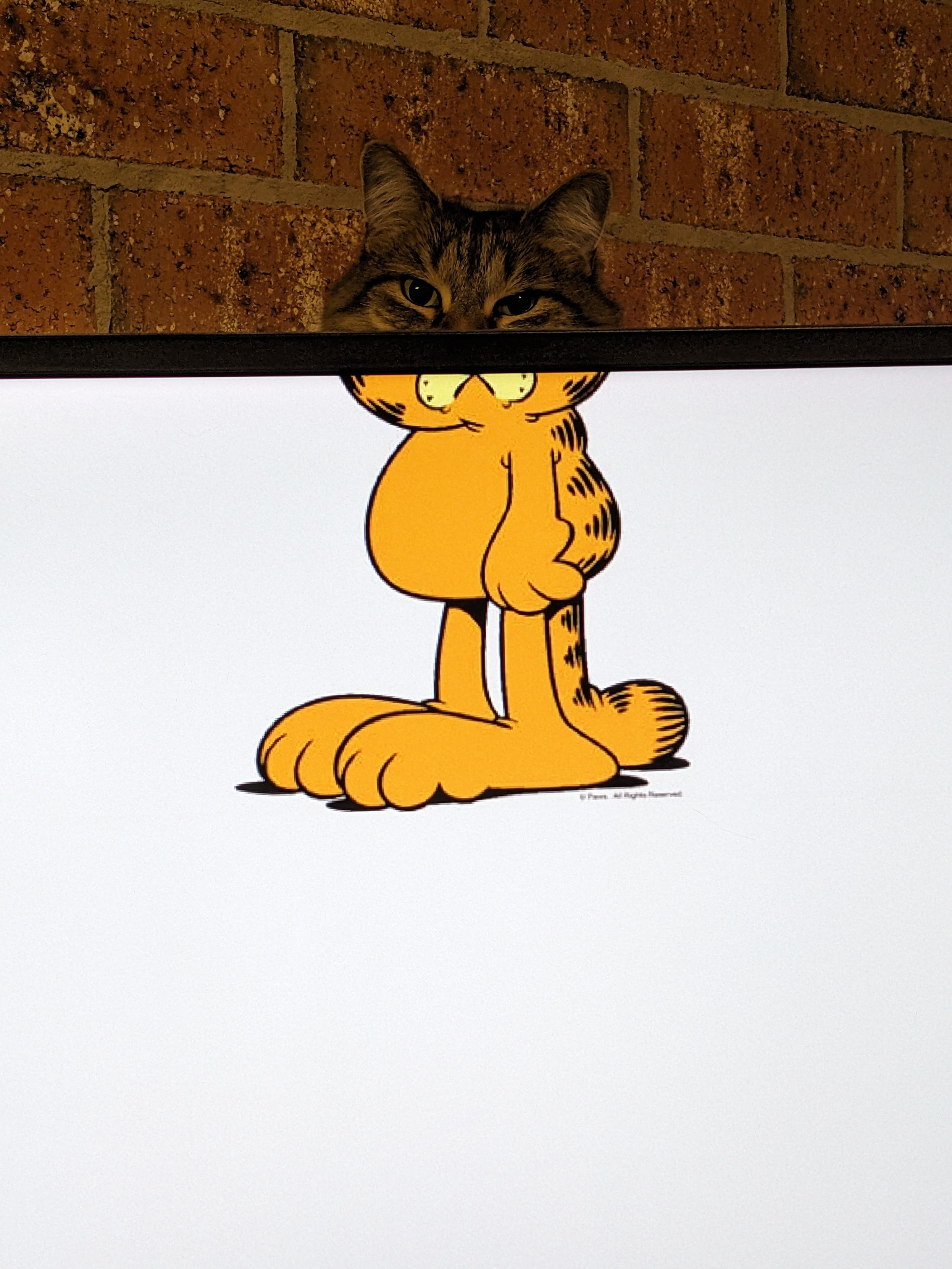 A photo of a cat's head peeking out over the top of a computer monitor. The monitor shows a cropped picture of Garfield the cat, and the photo overall shows an attempt at lining up the cat's head with the Garfield cartoon image.