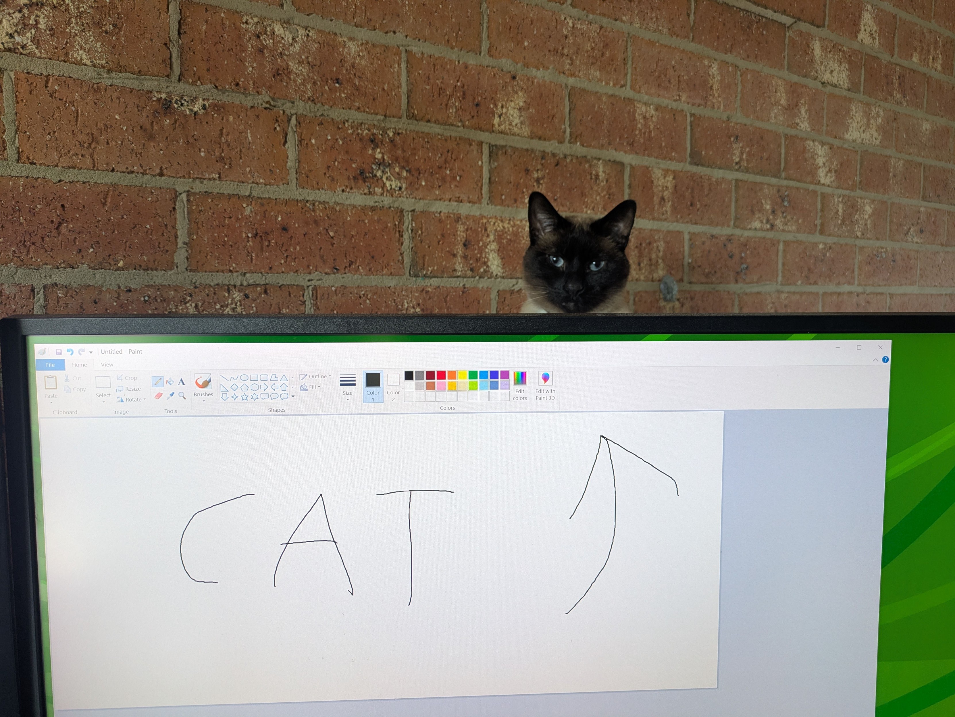 A photo of a Siamese cat sitting on something behind a computer monitor. On the monitor is Microsoft Paint where someone has hastily hand-written the word "cat" and an arrow pointing up off the top of the screen at the cat.